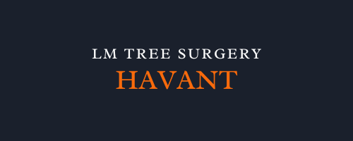 LM Tree Surgery Havant